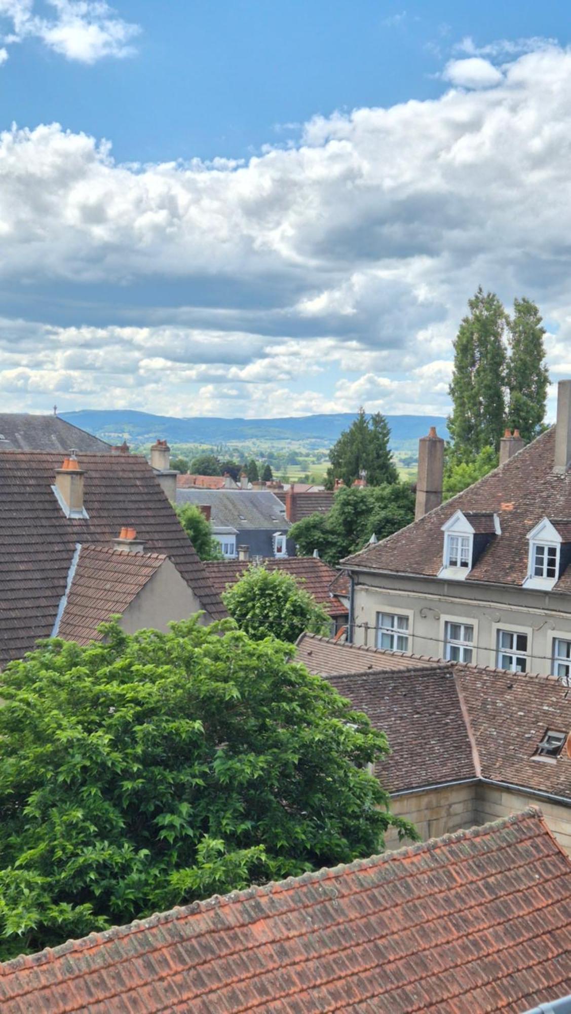 Ferienwohnung L'Arbre Voyageur Autun Exterior foto